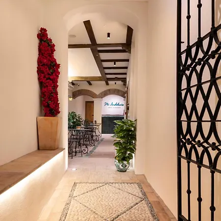 Mi Andalusia Hotel Experience-3
